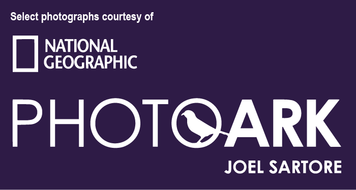 National Geographic Photo Credit